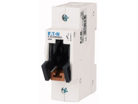 Rozłącznik bezpiecznikowy 1P 63A D02 Z-SLS/NEOZ/1 248235 EATON