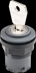 JRSSA17E Key switch - RONDEX-JUWEL, anthracite
