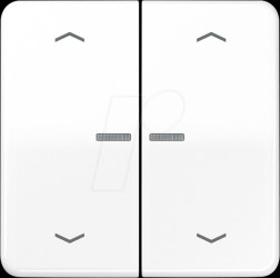 BTCD17102PWW Bluetooth pushbutton, dual, alpine white, arrow symbols