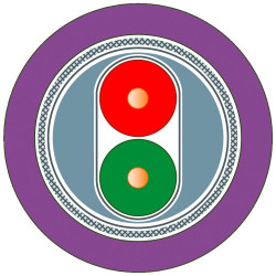 Wielożyłowy kabel przemysłowy 2 -rdzeniowy Ekranowany PE 100 V PROFIBUS