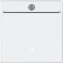 Płytka centralna łącznika hotelowego, Merten, System M, biały polarny (mat)