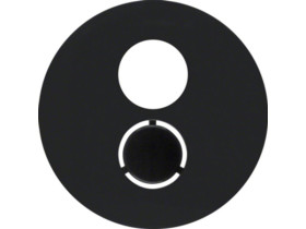 BERKER R.1/R.3 Płytka czołowa do gniazda głośnikowego czarny 11962045 HAGER