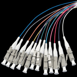 O3483.2 Fibre pigtail 12 set LC 50/125µ, OM4, 2m
