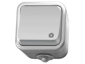 DELFINA Wyłącznik zwierny przycisk "światło" biały ŁNH-5D/00 OSPEL