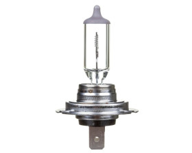 Żarówka samochodowa PX26d 24V H7 NEOLUX