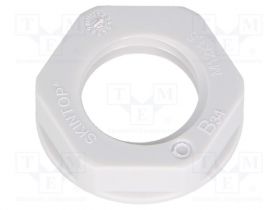 LP-53119003