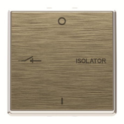 ABB Złoty Millenium 250 V IP20