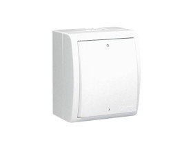 AQUARIUS Wyłącznik 2-biegunowy podświetlany natynkowy bryzgoszczelny IP54 biały AQW2L/11 KONTAKT SIMON