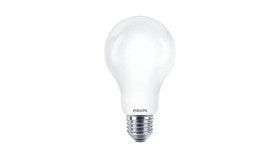 Żarówka Led E27 13W 2700K A67 (2Szt) Ekzph054