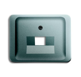 Płytka czołowa, RJ45, Szary