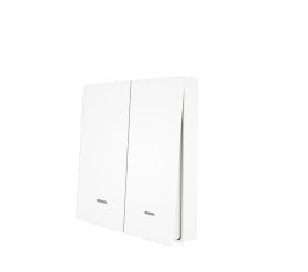 Pilot 2 kanałowy w formie przełącznika natynkowego