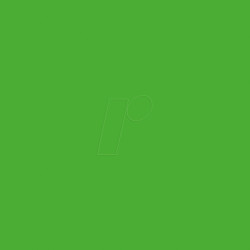 PL0502011 Permanent vinyl film - 31.5 cm x 1 m - light green