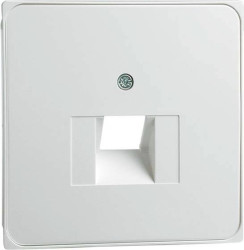 PEHA by Honeywell Zaślepka Osłona aluminiowy 787311 1 szt.