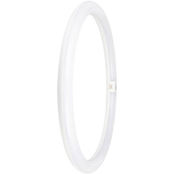 OSRAM 4099854042744 LED TUBE T9 EM 24W 865 G10q