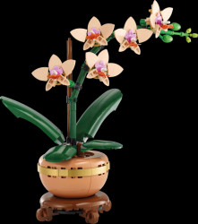 10343 LEGO® Botanicals – Mini Orchid
