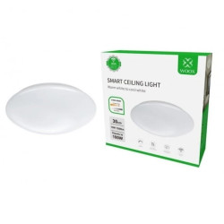 Sufitowa Smart lampa LED 30cm zdalnie sterowana WiFi, R5111