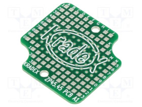 ZP4545PCBA1