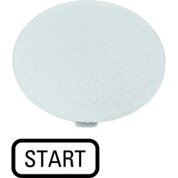 Button plate, mushroom,+inscription