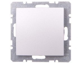 Berker/B.1/B.3/B.7 Glas Zaślepka z elementem centralnym aluminium 10091404