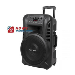 Kolumna aktywna 12" z 2 mikrof. bezprzew.SD,Bluetooth,USB