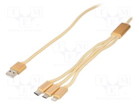 CC-USB2-AM31-1M-G