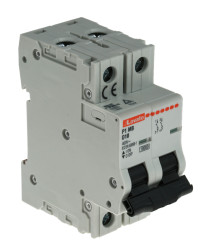 Wyłącznik nadprądowy MCB, Typ D, 2-biegunowy, 10A, 230V, 80V, na szynę DIN, Lovato, P1MB