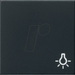 0285005 Rocker switch, light, matt black