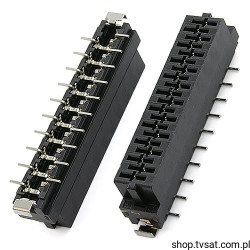 BTFN20S-3SSDE1 Socket 2 x 10 Pin SMD FCICONN