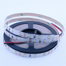 Taśma LED 12V biała neutral 300/3528 IP20 / ID-2101-50