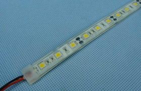 5050ZB 300LED PCB GIĘT.12V 12mm WC