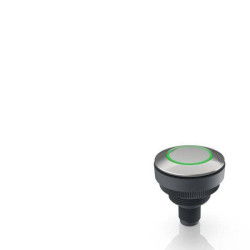 RAFI 1.11.011.801/0500 RAMO 30 T Pushbutton 35V 0.1A Momentary 1pc