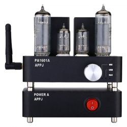 Wzmacniacz lampowy 2 x 3W PA1601A APPJ