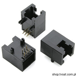 E5366-3000G2L Socket RJ-25 Horizontal THT PULSE
