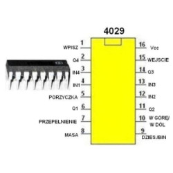 4029