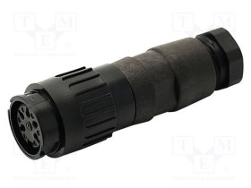 T3378552U-AMP