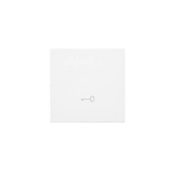 Simon 55 Klawisz pojedynczy z piktogramem klucz” do łączników/przycisków Biały mat TKWK1/111