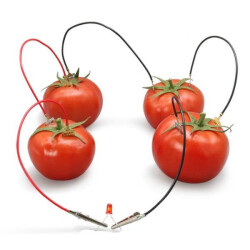 Lemon Fruit Battery - DIY - Science Experiment - Educational Kit