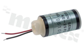 FIGKE25-F3