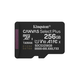 Karta Micro SD MicroSDXC, 256 GB Canvas Select Plus