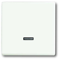 Busch-Jaeger 6543-884-101 2CKA006599A2963 Moduł wejściowy brak biały, biały 1 szt.