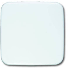 Busch-Jaeger Zaślepka Wyłącznik, Przełącznik schodowy, Przełącznik krzyżowy, Przycisk biały, czysty biały (ral 9010) 2CK