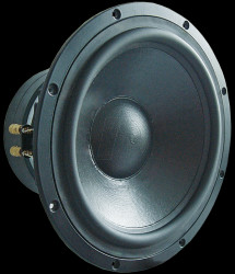 1364 30 cm (12") VISATON woofer