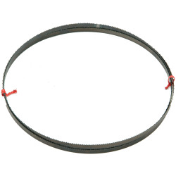 DEWALT DT8481-QZ Bandsaw Blade -12mm General Purpose