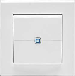 161830A0 Wandtaster, 2-fach