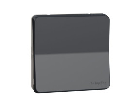MUREVA STYL Wyłącznik dwupolowy IP55 antracyt MUR35034 SCHNEIDER ELECTRIC