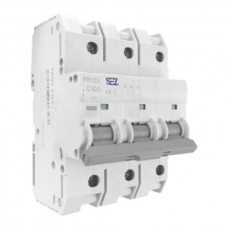 C100A 3P 10kA Wyłącznik nadprądowy bezpiecznik PR123 SEZ 6564