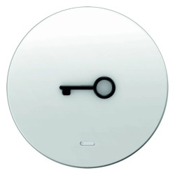 Klawisz z soczewką i wypukłym symbolem calidrzwicali Berker R.1/R.3 biały połysk 16512069