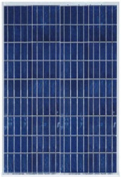 Panel fotowoltaiczny MW Green Power MWG-100