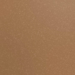 PL0502030 Permanent vinyl film - 31.5 cm x 1 m - gold