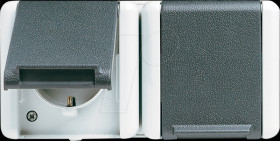 8220 W Socket with hinged lid, double, horizontal